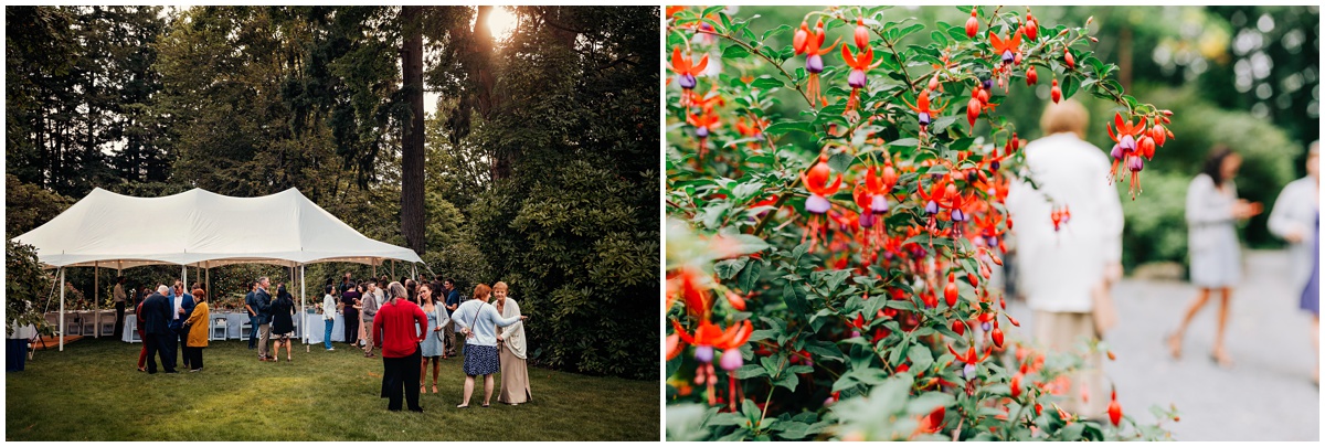 guests enjoying food outside